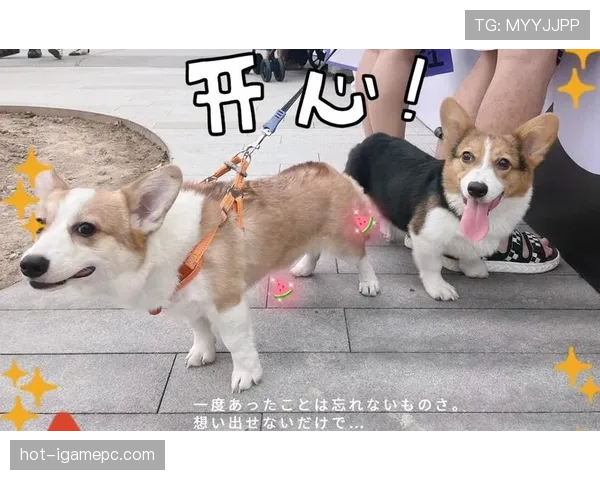 维克托·阿萨尔森带娃遛弯，推车比我家客厅还贵